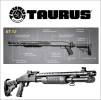 TAURUS-ST12.png